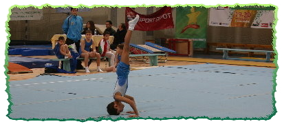 International gymnastics tournament
