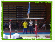 6th place in the Bulgarian All-around (David Shaumian)