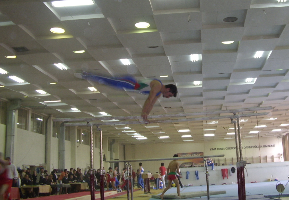 Stefan on Parallel Bars at the 2008 Bulgarian Cup