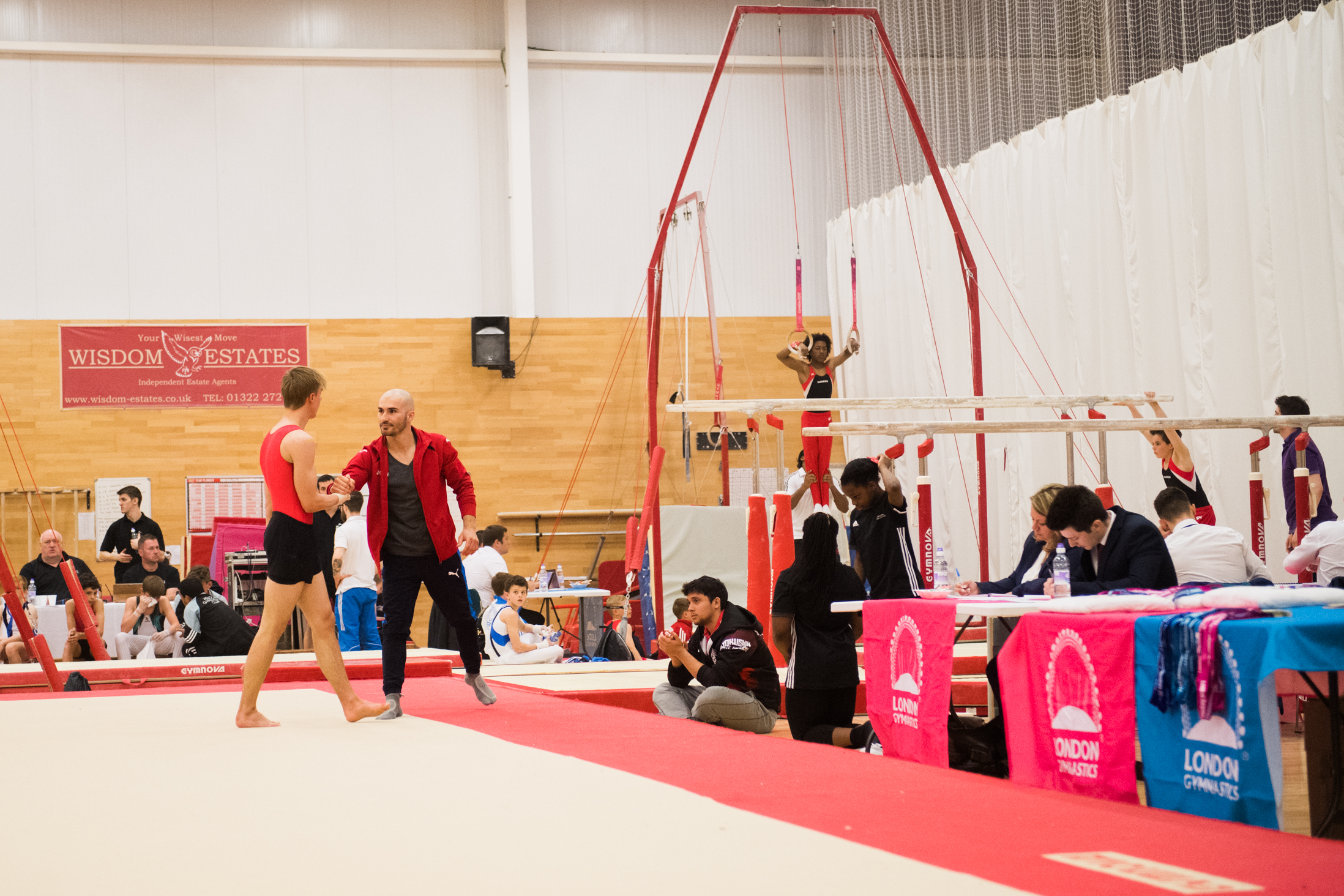 2017 London Regional Gymnastics Championships