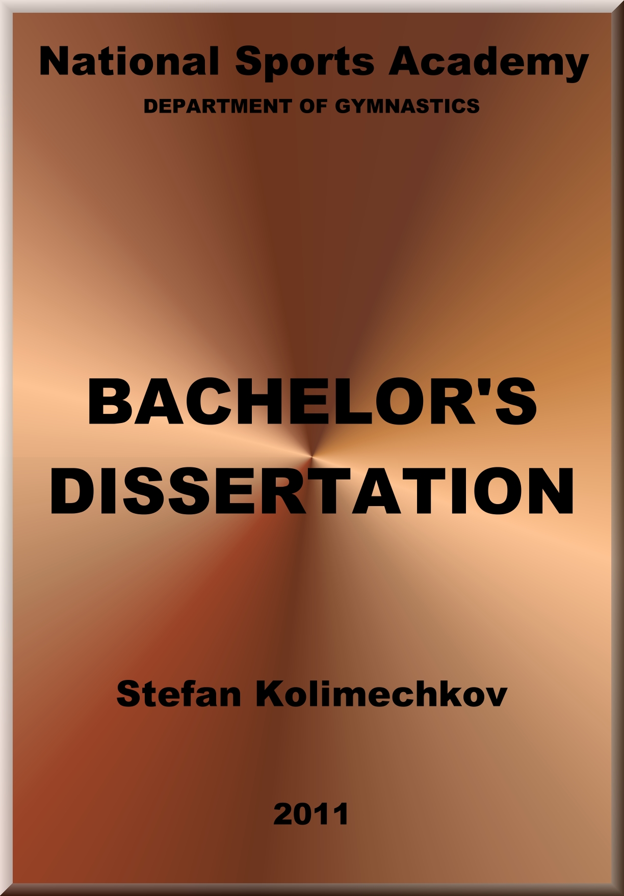 Bachelor's Dissertation (2011)